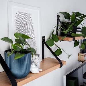 May include: A contemporary interior scene with wooden shelves supported by black metal brackets. The shelves are adorned with potted plants, an abstract framed print, and decorative objects. The color scheme incorporates natural wood, black, white, and green hues.