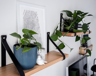 Leather Strap Shelf | Victorian Ash Timber, Brass Accents