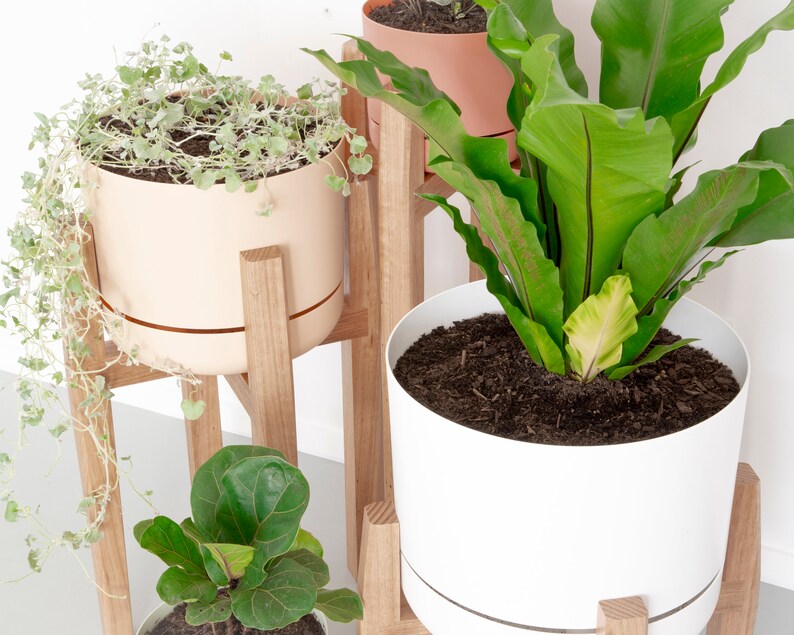 MidCentury Plant Stands Timber Plant Stands Modern Plant Etsy