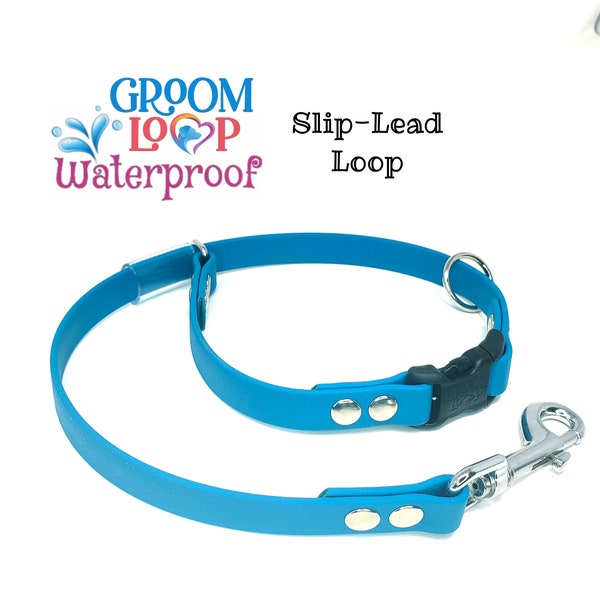 Grooming(Slip Lead) Loop, BioThane® 5/8" Waterproof Webbing, Strong Quick Release Buckle. Many colors to choose from.