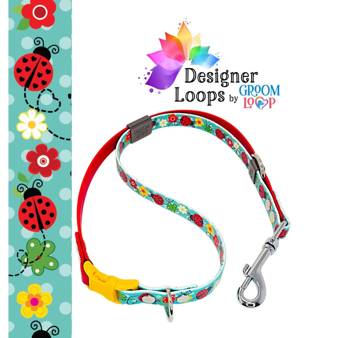 Lady Bug Biothane® Grooming Loop With a 5/8