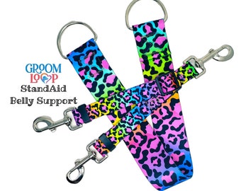May include: A rainbow leopard print dog leash with two metal clips. The leash is labeled "Groom Loop StandAid Belly Support".