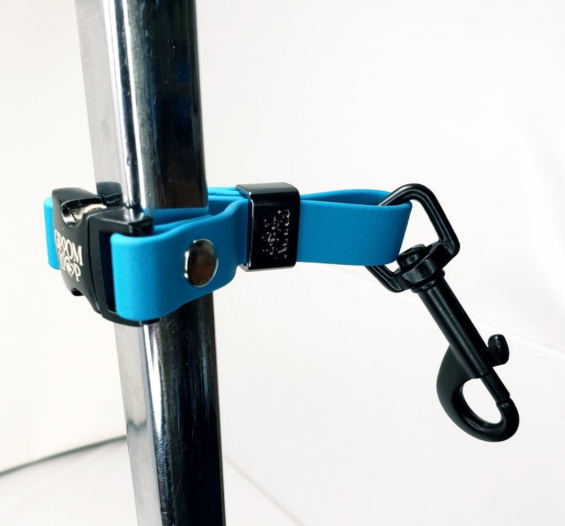 Pole Extender Strap w/Buckle. 5/8 BioThane® Webbing, 5 Length. 24 Colors to choose from image 3