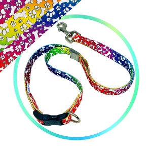 May include: A rainbow-colored dog collar and leash set with a white paw print and bone design.