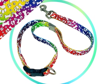 Polyester Loop (Trippy Doggo)  5/8" Polyester Webbing, Quick Release Buckle and Locking clip