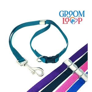 May include: A teal blue dog grooming loop with a silver clip and a black plastic buckle. The loop is shown with four additional grooming loops in purple, black, pink, and blue.