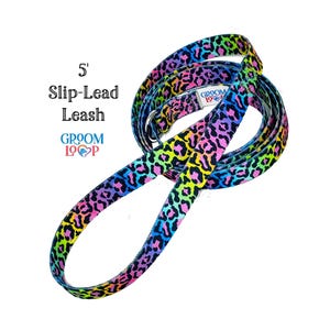 5&#39; Leash (Slip-Lead) 5/8&quot; webbing