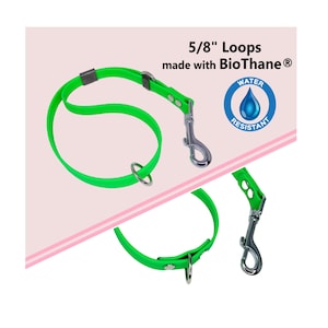 May include: Green 5/8 inch BioThane dog leash with a silver clip and a silver D-ring. The leash is water resistant.