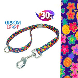 May include: A blue and multi-colored dog leash with a pineapple and flower pattern. The leash has a silver clip and a loop for attaching to a collar. The text "Groom Loop" is visible in the image.