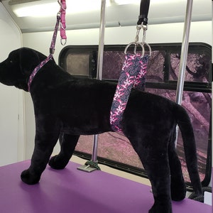 May include: A black dog is standing on a purple grooming table. The dog is wearing a pink and black patterned harness attached to a metal grooming arm. The harness is secured with a metal clip.