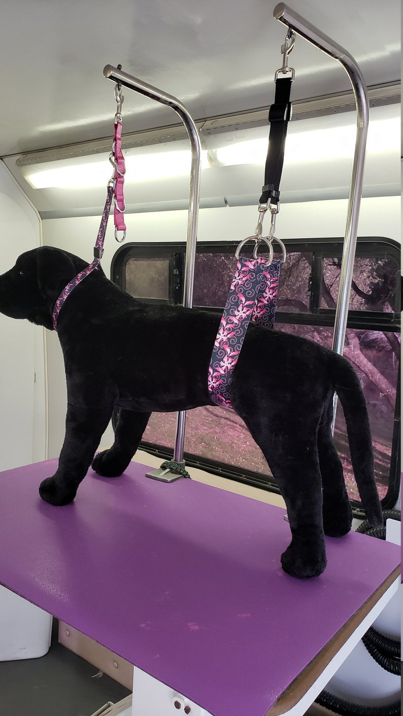 May include: A black dog is standing on a purple grooming table. The dog is wearing a pink and black patterned harness attached to a metal grooming arm. The harness is secured with a metal clip.