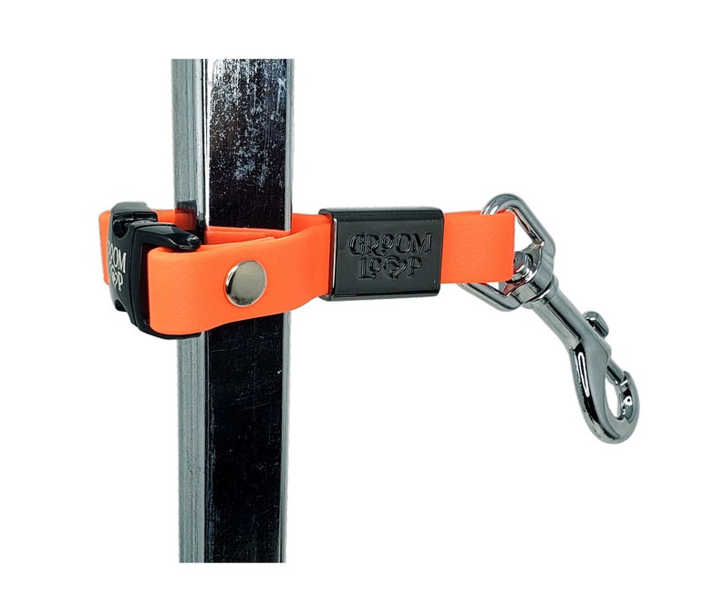 Pole Extender Strap w/Buckle. 5/8 BioThane® Webbing, 5 Length. 24 Colors to choose from image 1