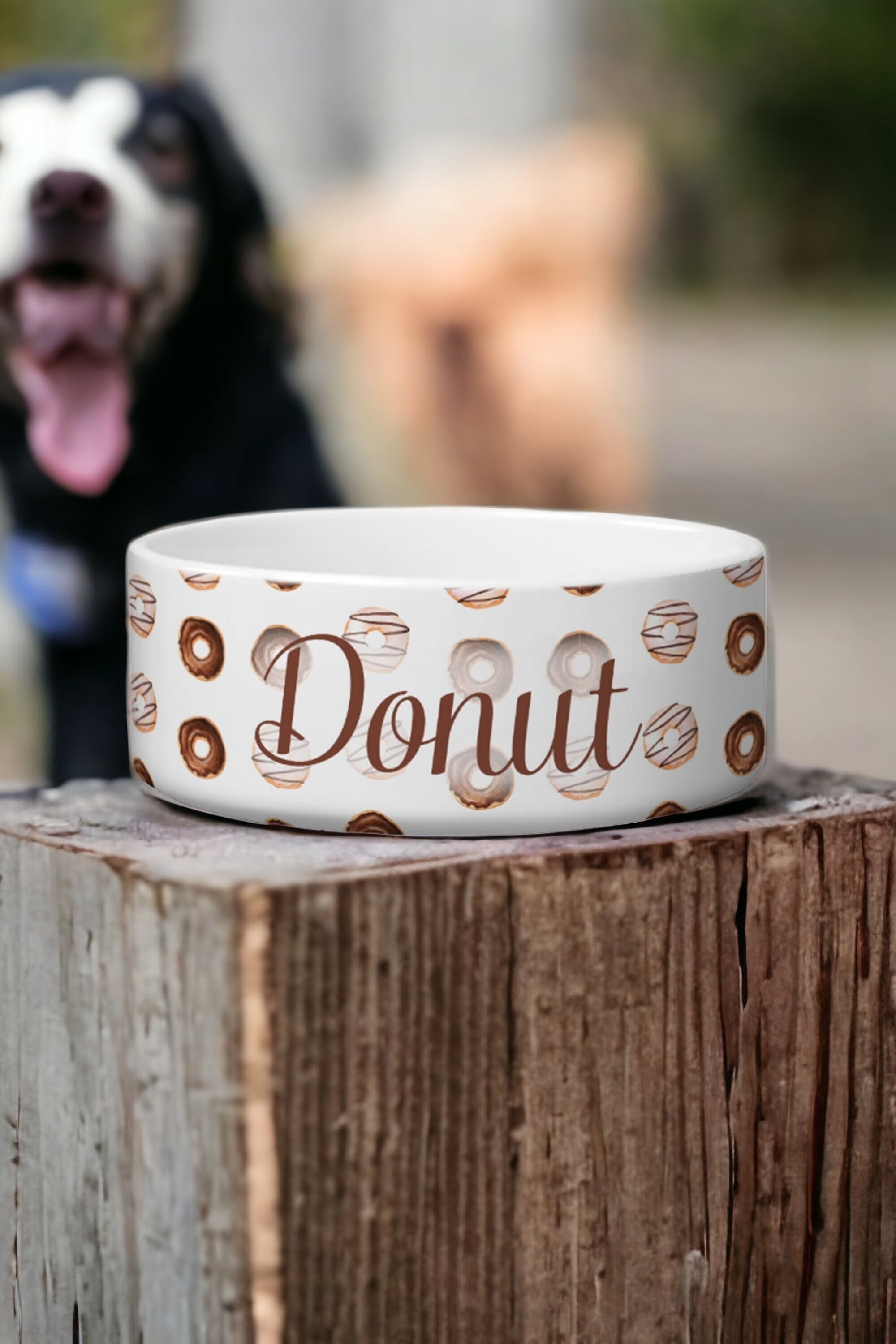 Donut Dog Bowl Etsy Canada