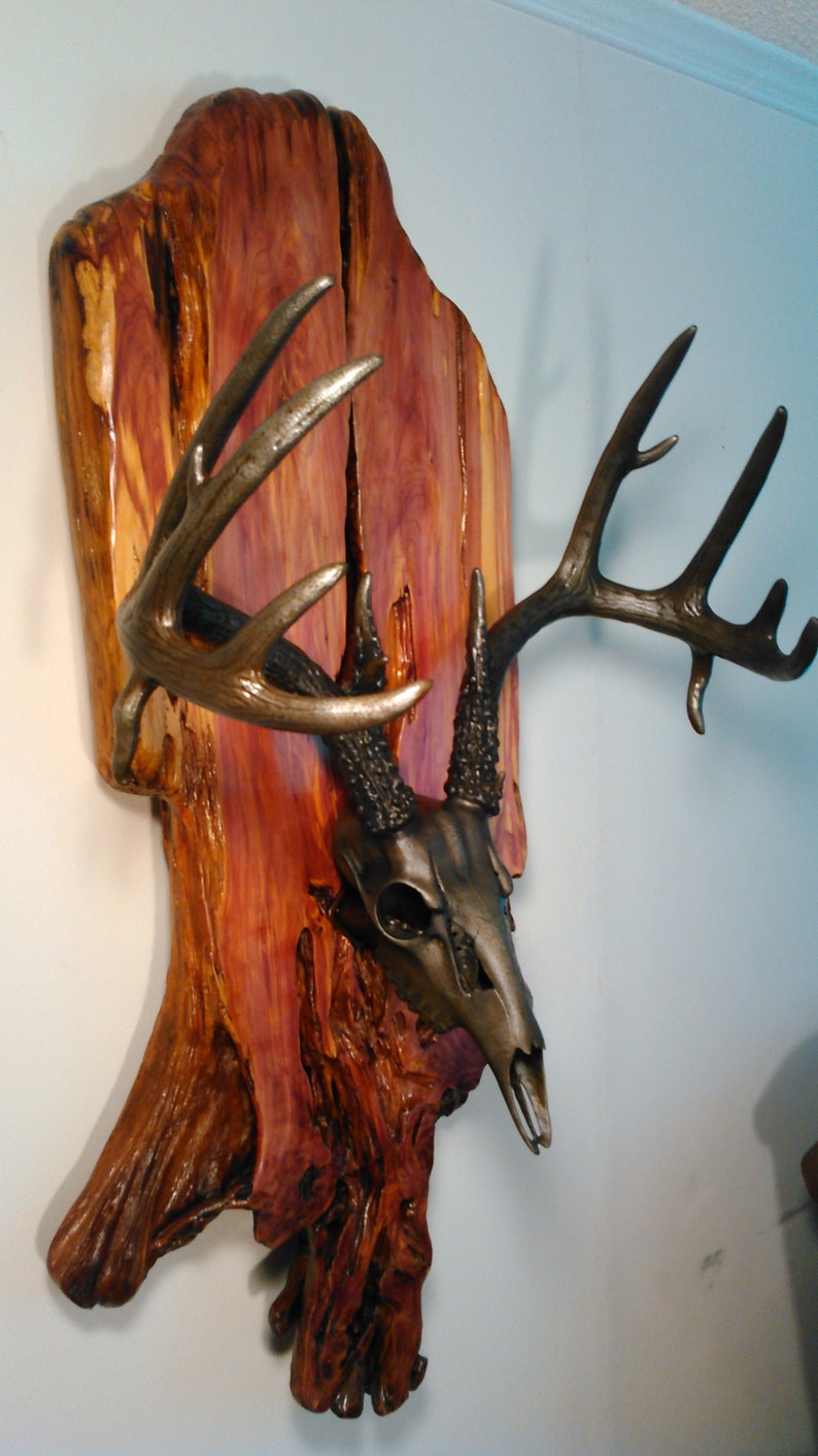 Original whitetail deer european mount wall sculpture. Etsy