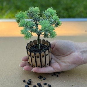Miniature Realistic Plants for Dollhouse Interiors, 1/6 Scale Options
