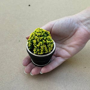 Piante in miniatura per casa delle bambole fatte a mano, scala 1/6, vasi di fiori realistici