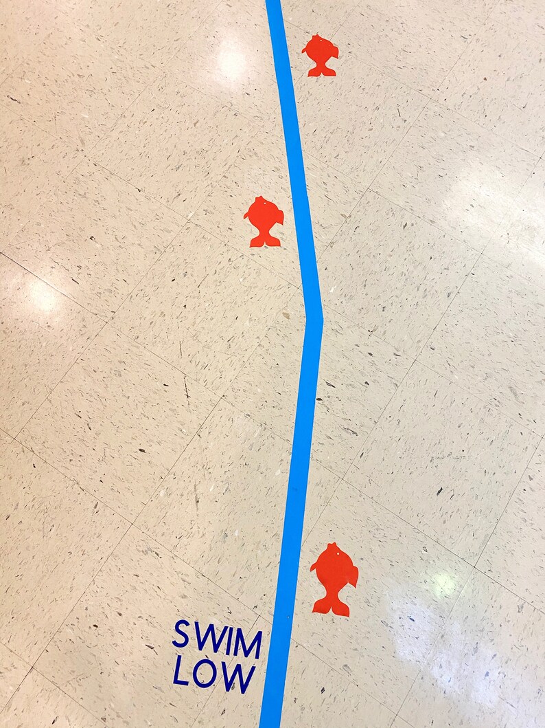 Full Sensory/Movement Path image 7