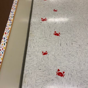 Full Sensory/Movement Path image 9