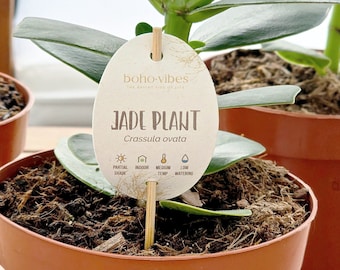 Personalized PLANT SIGNS for plant stores (Bamboo stick included!)
