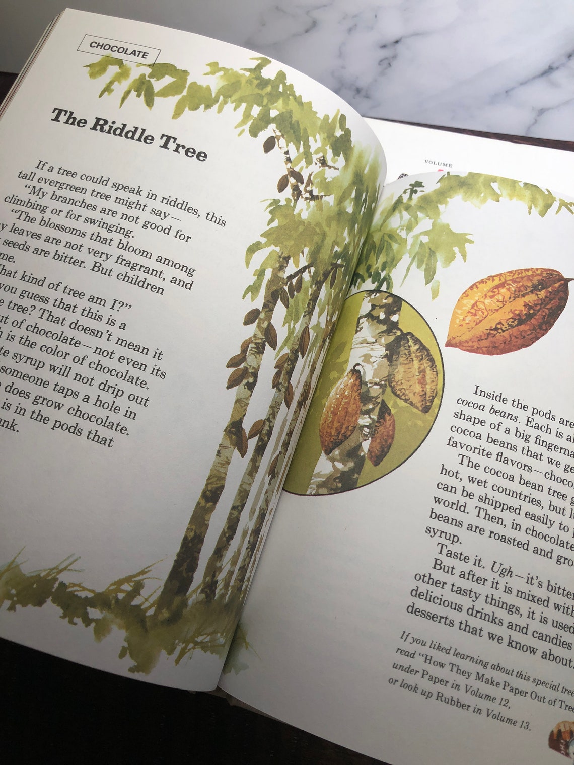 The Young Children's Encyclopedia 1985 Vintage Hardcover Etsy