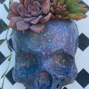 May include: A gray skull planter with a splatter paint design, featuring a succulent plant with green and brown leaves.