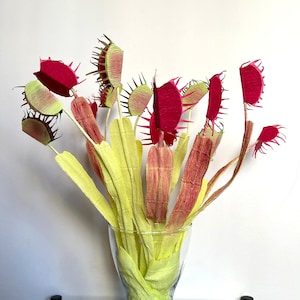 Puede incluir: Un ramo de plantas de Venus atrapamoscas hechas de papel en un jarrón de vidrio transparente. Las plantas están hechas de papel verde y rosa y están dispuestas en un jarrón sobre una mesa de vidrio.