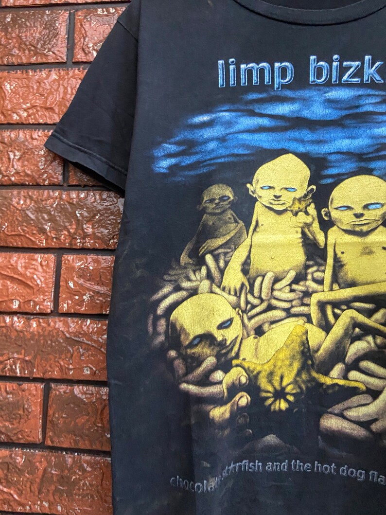 Vintage Limp Bizkit chocolate Starfish Album