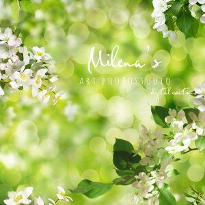 Op de afbeelding: Een heldere afbeelding van witte bloesems tegen een vage groene achtergrond. De tekst "Milena's ART PHOTOSTUDIO digital creations" is zichtbaar. De afbeelding roept een gevoel van lente en natuur op, ideaal voor digitale kunst.