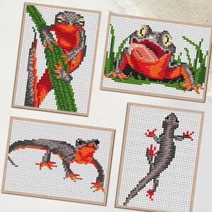May include: Four cross-stitch patterns featuring amphibians. One shows a red and gray newt on a green branch, another a frog in grass, and two more newts in different poses. The patterns are on a white background.