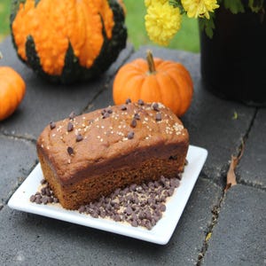 May include: A loaf of pumpkin bread on a white rectangular plate, sprinkled with chocolate chips and sugar. The bread is surrounded by more chocolate chips. In the background are small pumpkins and a decorative gourd.