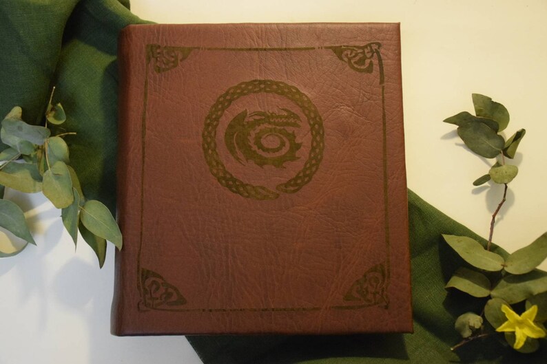 Book Based on How to Train Your Dragon HTTYD the Dragon Manual Etsy