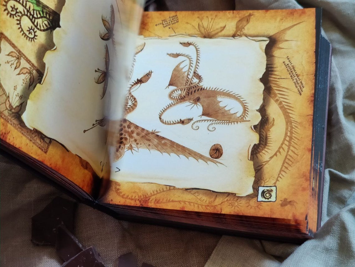 Book Based on How to Train Your Dragon HTTYD the Dragon Manual Etsy