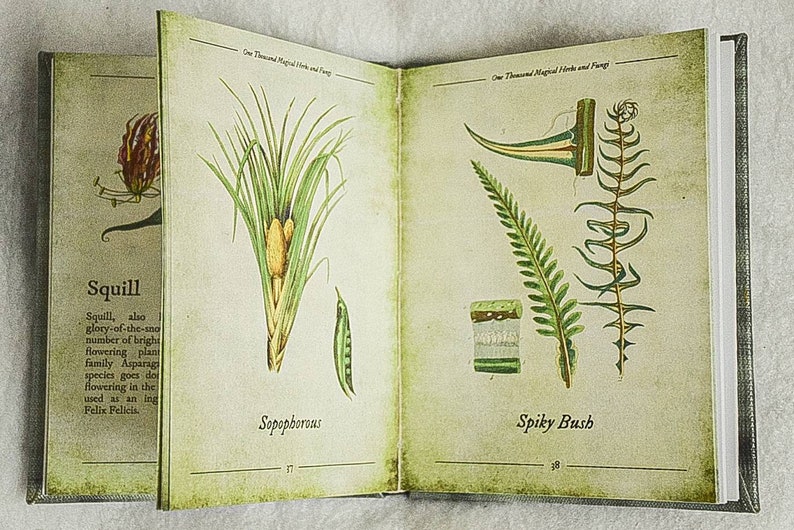 One thousand magical herbs and fungi Harry Potter book Etsy