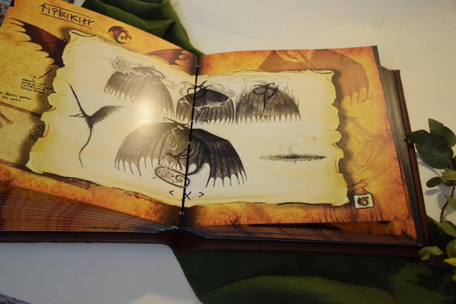 Book Based on How to Train Your Dragon HTTYD the Dragon Manual Etsy