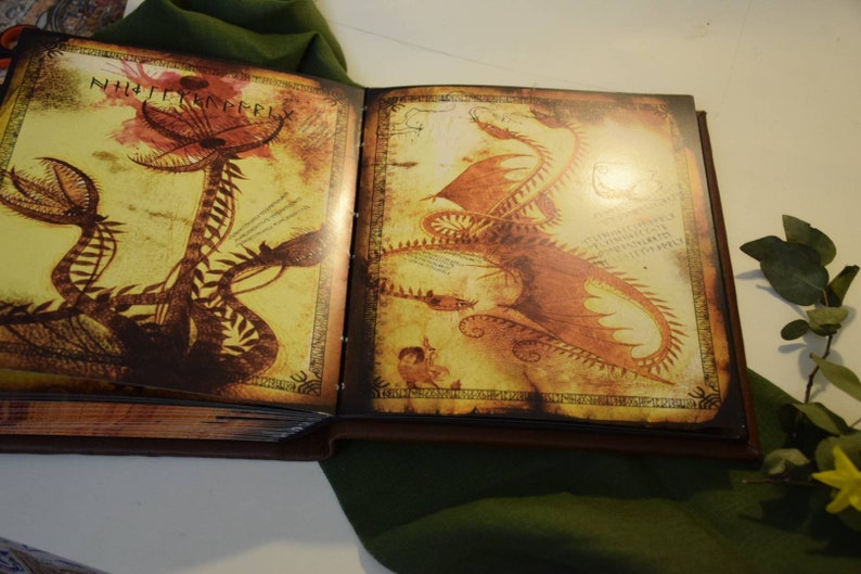 Book Based on How to Train Your Dragon HTTYD the Dragon Manual Etsy