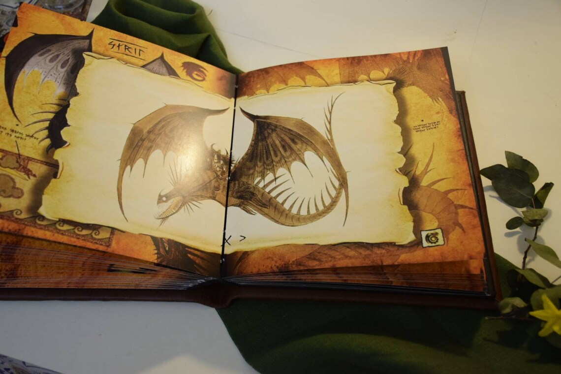 Book Based on How to Train Your Dragon HTTYD the Dragon Manual Etsy