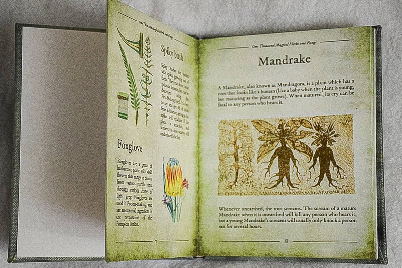 One thousand magical herbs and fungi Harry Potter book Etsy