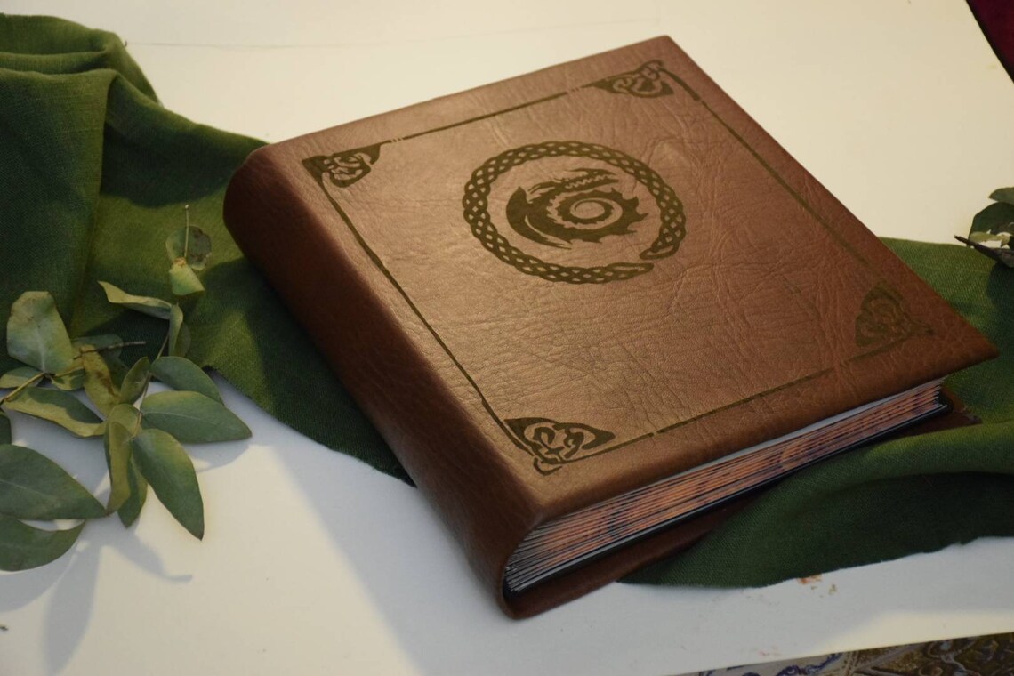 Book Based on How to Train Your Dragon HTTYD the Dragon Manual Etsy