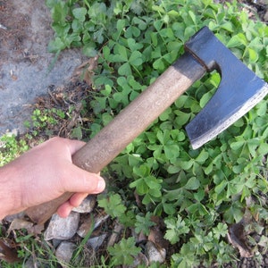 Könnte beinhalten: Eine schwarze Handaxt mit einem Holzstiel. Die Axt wird von einer Hand vor einem Beet mit grünen Pflanzen gehalten.