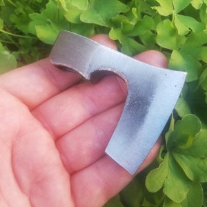 Könnte beinhalten: Eine kleine, silberfarbene Axt mit einer gebogenen Klinge und einem Griff. Die Axt wird in einer Hand vor einem Hintergrund aus grünen Blättern gehalten.