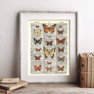 Butterflies Dictionary Art Print