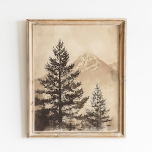 Stampa artistica di alberi di pino antichi Stampa di alberi di pino moderni Stampa di alberi di pino moderni Decorazione per la casa Decorazione rustica Stampa di alberi di pino moderni vintage