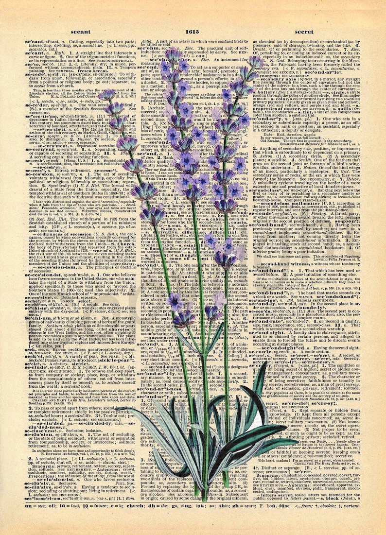 Lavender Plant Dictionary Art Print Etsy