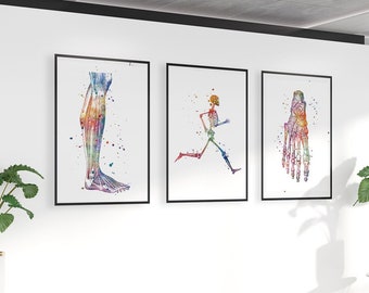 Podology Art Prints Set of 3, Podiatrist Office Decor, Human Anatomy Colorful Watercolor Posters, Medical Artworks, Clinic Wall Decoration