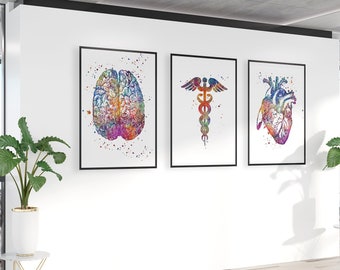 Anatomy art, Doctor office decor, Set of 3 watercolor prints, Heart, Brain and Caduceus prints, Physician assistant gift