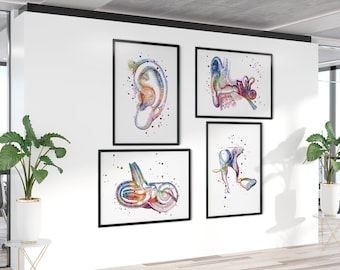 Art en audiologie | Anatomie de l'oreille, lot de 4 impressions aquarelles multicolores | Décoration murale pour bureau d'audiologiste | Oeuvre d'art de salle d'attente de clinique ORL