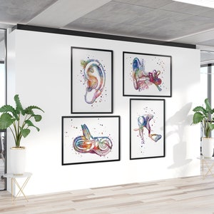 Audiologie Kunst | Ooranatomie Set van 4 veelkleurige aquarelprints | Audioloog Office Wall Art Decor | KNO-kliniek wachtkamer kunstwerk