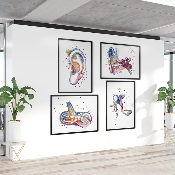 Audiology Art | Ear Anatomy Set of 4 Multicolored Watercolor Prints | Audiologist Office Wall Art Decor | ENT clinic waiting room artwork