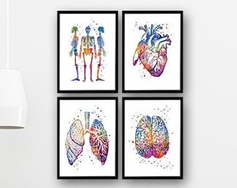 Anatomie aquarelprints, set van 4 posters voor wanddecoratie van een medisch kantoor
