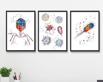 Microbiology Art Set of 3 Watercolor Prints Bacteriophage Virus E. coli Bacteria Microbiologist Gift Office decor